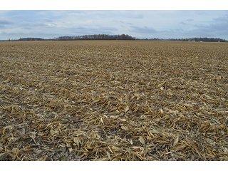 Property photo 20 - LAND AUCTION - 276.5+/- ACRES OFFERED IN 5 TRACTS IN EAST ALLEN COUNTY